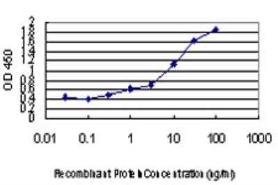 ELISA: PBK Antibody (3F7) [H00055872-M04] - Detection limit for recombinant GST tagged PBK is approximately 0.3ng/ml as a capture antibody.