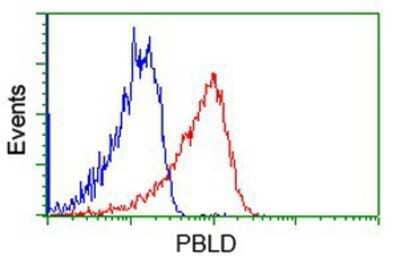 Flow Cytometry: PBLD Antibody (7G5) [NBP2-03265] - Analysis of Jurkat cells, using anti-PBLD antibody, (Red), compared to a nonspecific negative control antibody (Blue).