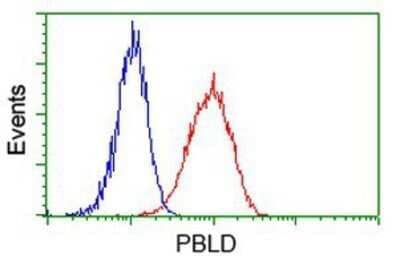 Flow Cytometry: PBLD Antibody (OTI7G5) - Azide and BSA Free [NBP2-73262] - Analysis of Hela cells, using anti-PBLD antibody, (Red), compared to a nonspecific negative control antibody (Blue).