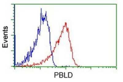 Flow Cytometry: PBLD Antibody (OTI7G5) - Azide and BSA Free [NBP2-73262] - Analysis of Jurkat cells, using anti-PBLD antibody, (Red), compared to a nonspecific negative control antibody (Blue).