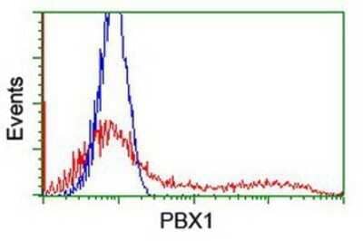 Flow Cytometry: PBX1 Antibody (OTI1C11) - Azide and BSA Free [NBP2-73265] - HEK293T cells transfected with either overexpression plasmid (Red) or empty vector control plasmid (Blue) were immunostaining by anti-PBX1 antibody, and then analyzed by flow cytometry.