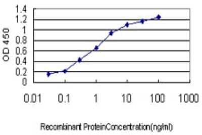 Sandwich ELISA: PBX4 Antibody (1D8) [H00080714-M01] - Detection limit for recombinant GST tagged PBX4 is approximately 0.03ng/ml as a capture antibody.
