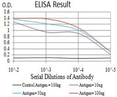 ELISA: PCDH9 Antibody (7G3F7) [NBP2-61771] - Black line: Control Antigen (100 ng);Purple line: Antigen (10ng); Blue line: Antigen (50 ng); Red line:Antigen (100 ng)