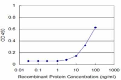 Sandwich ELISA: PCDHA12 Antibody (1D3) [H00056137-M02] - Detection limit for recombinant GST tagged PCDHA12 is approximately 3ng/ml as a capture antibody.
