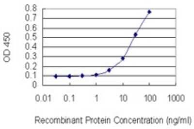 Sandwich ELISA: PCGF6 Antibody (2B8) [H00084108-M01] - Detection limit for recombinant GST tagged PCGF6 is 1 ng/ml as a capture antibody.