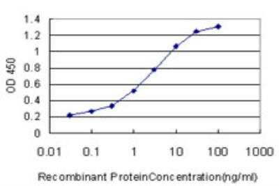 ELISA: PCNA Antibody (S1) [H00005111-M04] - Detection limit for recombinant GST tagged PCNA is approximately 0.1ng/ml as a capture antibody.
