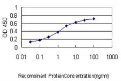 ELISA PCNA associated factor Antibody (3C11-1F11) - Azide and BSA Free