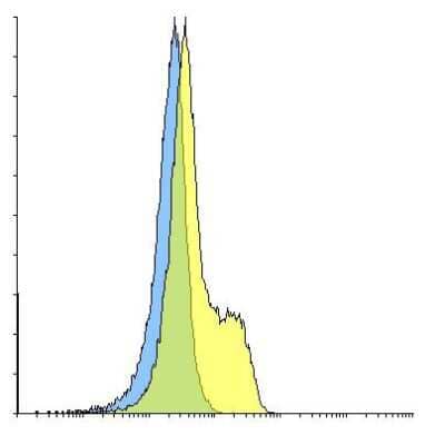 Flow Cytometry: PD-1 Antibody (F25F4) - VHH [NBP3-12830] - Flow cytometry analysis of PD-1 transfected 293 cells using PD-1 [F2-5F4] antibody at 10 ug/ml. Blue: untransfected cells, Yellow: PD-1 transfected cells.
