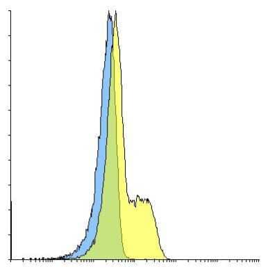 Flow Cytometry: PD-1 Antibody (F42D7) - VHH [NBP3-12828] - Flow cytometry analysis of PD-1 transfected 293 cells using PD-1 [F4-2D7] antibody at 10 ug/ml. Blue: untransfected cells, Yellow: PD-1 transfected cells.