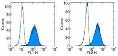Flow Cytometry: PD-1 Antibody (J116) - Azide Free [NBP2-34498] - Staining of human PD-1 transfected cells with anti-human  CD279 (PD-1) FITC (left)or PE (right). Appropriate isotype controls were used (open histogram). Total viable cells were used for analysis.