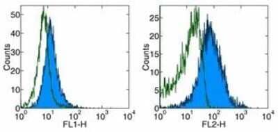 Flow Cytometry: PD-1 Antibody (J43) - Azide Free [NBP2-34497] - Staining of ConA stimulated splenocytes with Anti-Mouse CD279 (PD-1) FITC (left) and PE (right). Appropriate isotype controls were used (open histogram). Total viable cells were used for analysis.