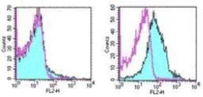 Flow Cytometry: PD-1 Antibody (J43) - Azide Free [NBP2-34497] - Analysis of mouse Con-A activated spleen cell suspensions and mouse PD-1 transfected cells using PD1 PE conjugate. This can be used at less than or equal to 0.5 ug per test. Cell number should be determined empirically but can range from 10^5to 10^8 cells