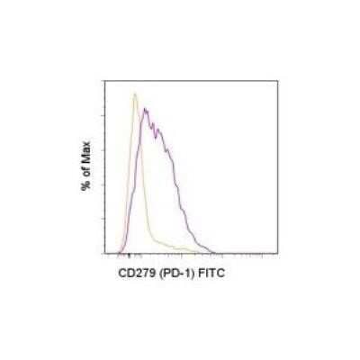 Immunocytochemistry/Immunofluorescence: PD-1 Antibody (J43) - Azide Free [NBP2-34497] - Analysis using the Serum/Azide Free version of NBP1-43110. Staining of unstimulated (orange histogram) or 3-day Anti-Mouse CD3 and Anti-Mouse CD28 Functional Grade Purified -stimulated (purple histogram) C57Bl/6 splenocytes with 0.5 ug of Anti-Mouse CD279 (PD-1) FITC. Total viable cells were used for analysis.