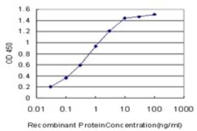 ELISA: PDCD6 Antibody (2B4) [H00010016-M01] - Detection limit for recombinant GST tagged PDCD6 is approximately 0.03ng/ml as a capture antibody.