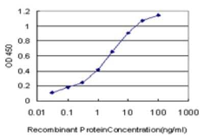 Sandwich ELISA: PDE10A Antibody (40) [H00010846-M02] - Detection limit for recombinant GST tagged PDE10A is approximately 0.03ng/ml as a capture antibody.