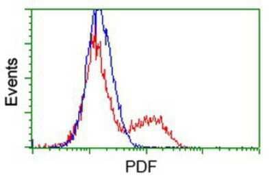 Flow Cytometry: PDF Antibody (3F3) [NBP2-00814] - HEK293T cells transfected with either overexpression plasmid (Red) or empty vector control plasmid (Blue) were immunostained by anti-PDF antibody, and then analyzed by flow cytometry.