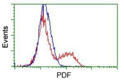 Flow Cytometry: PDF Antibody (OTI3F3) - Azide and BSA Free [NBP2-73301] - HEK293T cells transfected with either overexpression plasmid (Red) or empty vector control plasmid (Blue) were immunostaining by anti-PDF antibody, and then analyzed by flow cytometry.