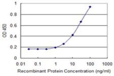 ELISA: PDGF-D/SCDGFB Antibody (4H2) [H00080310-M09] - Detection limit for recombinant GST tagged PDGFD is 0.3 ng/ml as a capture antibody.