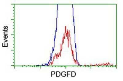 Flow Cytometry: PDGF-D/SCDGFB Antibody (OTI1C1) - Azide and BSA Free [NBP2-73305] - HEK293T cells transfected with either overexpression plasmid (Red) or empty vector control plasmid (Blue) were immunostaining by anti-SCDGFB antibody, and then analyzed by flow cytometry.