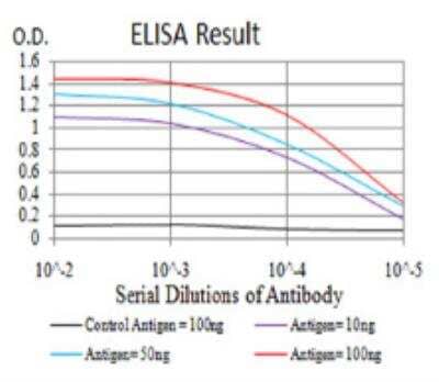 ELISA: PDGF R beta Antibody (2G7B7) [NBP2-52529] - Black line: Control Antigen (100 ng); Purple line: Antigen(10ng); Blue line: Antigen (50 ng); Red line: Antigen (100 ng)