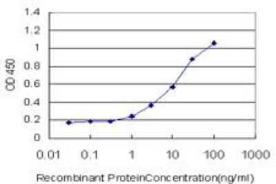 ELISA: PDGF R beta Antibody (4C12) [H00005159-M08] - Detection limit for recombinant GST tagged PDGFRB is approximately 1ng/ml as a capture antibody.