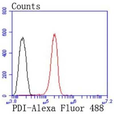 Flow Cytometry: Protein Disulfide Isomerase/P4HB Antibody (JF97-08) [NBP2-67030] - Analysis of Hela cells with Protein Disulfide Isomerase/P4HB antibody at 1/50 dilution (red) compared with an unlabelled control (cells without incubation with primary antibody; black). Alexa Fluor 488-conjugated goat anti rabbit IgG was used as the secondary antibody