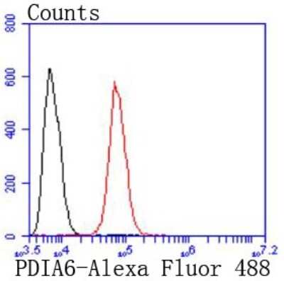 Flow Cytometry: PDIA6 Antibody (JF0974) [NBP2-67031] - Analysis of Hela cells with PDIA6 antibody at 1/50 dilution (red) compared with an unlabelled control (cells without incubation with primary antibody; black). Alexa Fluor 488-conjugated goat anti rabbit IgG was used as the secondary antibody.