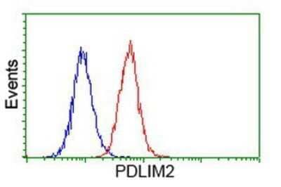 Flow Cytometry: PDLIM2 Antibody (OTI11A12) - Azide and BSA Free [NBP2-73311] - Analysis of Hela cells, using anti-PDLIM2 antibody, (Red), compared to a nonspecific negative control antibody (Blue).