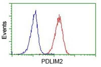 Flow Cytometry: PDLIM2 Antibody (OTI11A12) - Azide and BSA Free [NBP2-73311] - Analysis of Jurkat cells, using anti-PDLIM2 antibody, (Red), compared to a nonspecific negative control antibody (Blue).