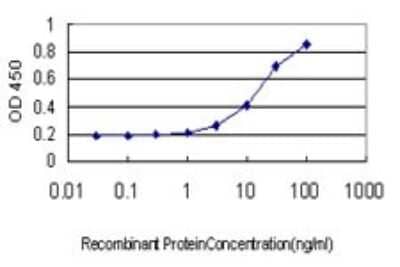 Sandwich ELISA: PDLIM5 Antibody (3E11-F6) [H00010611-M01] - Detection limit for recombinant GST tagged PDLIM5 is approximately 3ng/ml as a capture antibody.