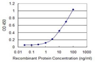 Sandwich ELISA: PDPK2 Antibody (1G3) [H00653650-M01] - Detection limit for recombinant GST tagged PDPK2 is 0.3 ng/ml as a capture antibody.