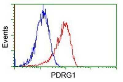 Flow Cytometry: PDRG1 Antibody (OTI4F12) - Azide and BSA Free [NBP2-73320] - Analysis of Jurkat cells, using anti-PDRG1 antibody, (Red), compared to a nonspecific negative control antibody (Blue).