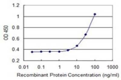 Sandwich ELISA: PEX10 Antibody (1B8) [H00005192-M01] - Detection limit for recombinant GST tagged PEX10 is 1 ng/ml as a capture antibody.