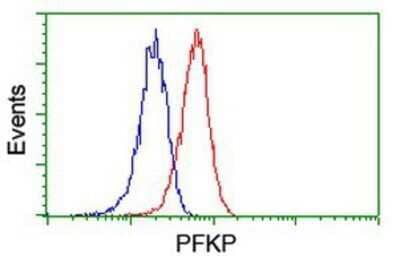 Flow Cytometry: PFKP Antibody (OTI1D6) - Azide and BSA Free [NBP2-73344] - Analysis of Jurkat cells, using anti-PFKP antibody, (Red), compared to a nonspecific negative control antibody (Blue).