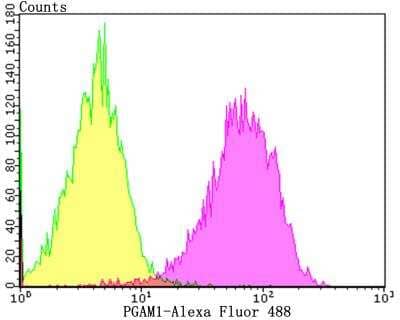 Flow Cytometry: PGAM1 Antibody (JE40-67) [NBP2-76862] - Flow cytometric analysis of Jurkat cells with PGAM1 antibody at 1/100 dilution (purple) compared with an unlabelled control (cells without incubation with primary antibody; yellow). Alexa Fluor 488-conjugated goat anti-rabbit IgG was used as the secondary antibody.