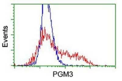 Flow Cytometry: PGM3 Antibody (OTI1A11) - Azide and BSA Free [NBP2-73362] - HEK293T cells transfected with either overexpression plasmid (Red) or empty vector control plasmid (Blue) were immunostaining by anti-PGM3 antibody, and then analyzed by flow cytometry.