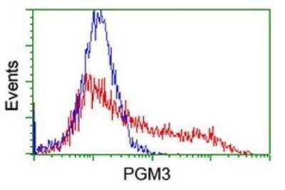 Flow Cytometry: PGM3 Antibody (OTI5C6) - Azide and BSA Free [NBP2-73364] - Analysis of HEK293T cells transfected with either overexpress plasmid(Red) or empty vector control plasmid(Blue) were immunostaining by PGM3 antibody.