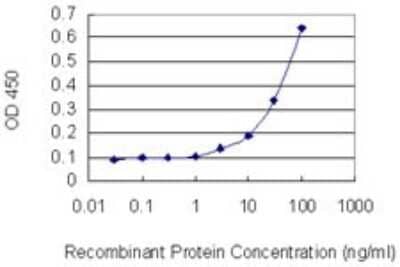 Sandwich ELISA PHACTR3 Antibody (4A5) - Azide and BSA Free