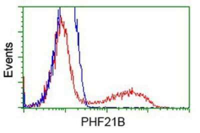 Flow Cytometry: PHF21B Antibody (3G9) [NBP2-00877] - HEK293T cells transfected with either overexpression plasmid (Red) or empty vector control plasmid (Blue) were immunostained by anti-PHF21B antibody, and then analyzed by flow cytometry.