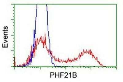Flow Cytometry: PHF21B Antibody (OTI3D1) - Azide and BSA Free [NBP2-73367] - HEK293T cells transfected with either overexpression plasmid (Red) or empty vector control plasmid (Blue) were immunostaining by anti-PHF21B antibody, and then analyzed by flow cytometry.