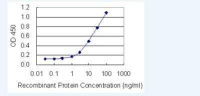 ELISA: PHF6 Antibody (8F24) [H00084295-M01-100ug] - Detection limit for recombinant GST tagged PHF6 is 0.3 ng/ml as a capture antibody.