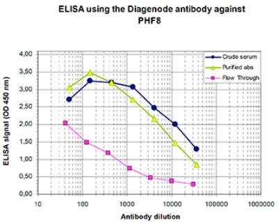 ELISA: PHF8 Antibody [NBP2-62797] - To determine the titer of the antibody, an analysis was performed using a serial dilution of the antibody directed against human PHF8, crude serum and Flow Through in antigen coated wells. By plotting the absorbance against the antibody dilution, the titer of the antibody was estimated to be 1:6,500.