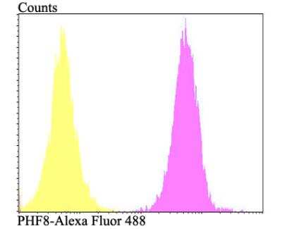 Flow Cytometry: PHF8 Antibody [NBP2-76957] - Flow cytometric analysis of SiHa cells with PHF8 antibody at 1/100 dilution (fuchsia) compared with an unlabelled control (cells without incubation with primary antibody; yellow). Alexa Fluor 488-conjugated goat anti-rabbit IgG was used as the secondary antibody.