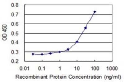 Sandwich ELISA: PHKA2 Antibody (1D4) [H00005256-M05] - Detection limit for recombinant GST tagged PHKA2 is 1 ng/ml as a capture antibody.