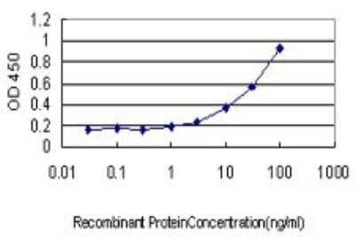 ELISA: PHKG1 Antibody (2B4) [H00005260-M02] - Detection limit for recombinant GST tagged PHKG1 is approximately 1ng/ml as a capture antibody.