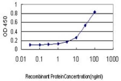 Sandwich ELISA: PHKG1 Antibody (2G6) [H00005260-M01] - Detection limit for recombinant GST tagged PHKG1 is approximately 1ng/ml as a capture antibody.