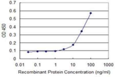 Sandwich ELISA: PHKG2 Antibody (2D12) [H00005261-M01] - Detection limit for recombinant GST tagged PHKG2 is approximately 3ng/ml as a capture antibody.