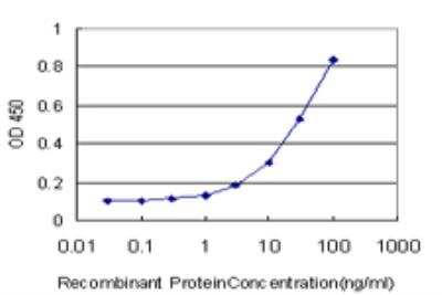 ELISA: PHOSPHO1 Antibody (4B2) [H00162466-M04] - Detection limit for recombinant GST tagged PHOSPHO1 is approximately 1ng/ml as a capture antibody.