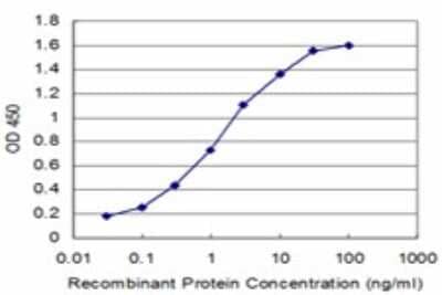 Sandwich ELISA: PI 3-Kinase C2 beta Antibody (1H4) [H00005287-M06] - Detection limit for recombinant GST tagged PIK3C2B is approximately 0.03ng/ml as a capture antibody.