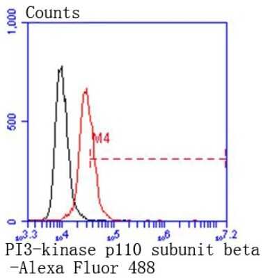 Flow Cytometry: PI 3-Kinase p110 beta/PIK3CB Antibody (SC0580) [NBP2-67579] - Analysis of Hela cells with PI3-kinase p110 subunit beta antibody at 1/50 dilution (red) compared with an unlabelled control (cells without incubation with primary antibody; black). Alexa Fluor 488-conjugated goat anti rabbit IgG wa secondary